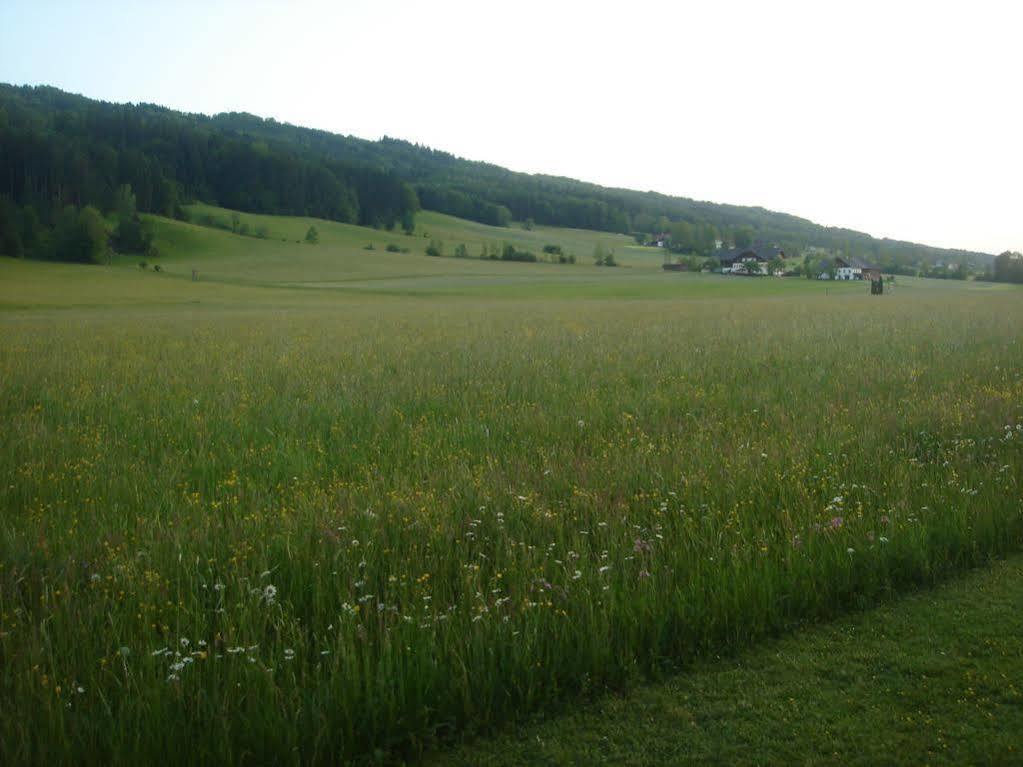 Pension Anna Mondsee Luaran gambar